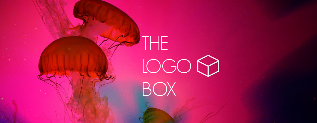 The Logo Box Sussex